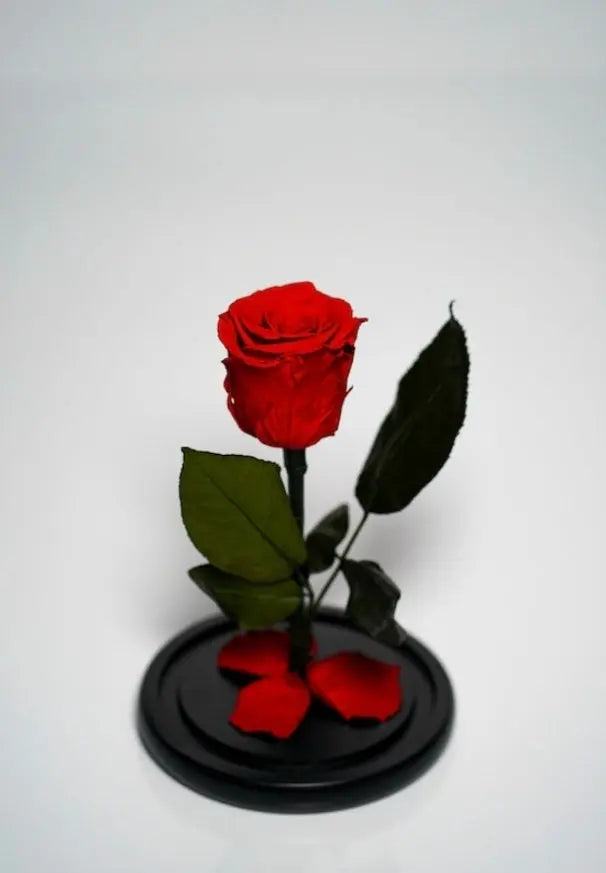 Aranjament floral păpușă premium – Eleganță și lux fără întreținere SuperUtil.ro